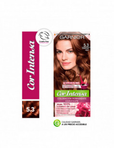 Kit Tintura Permanente Cor...